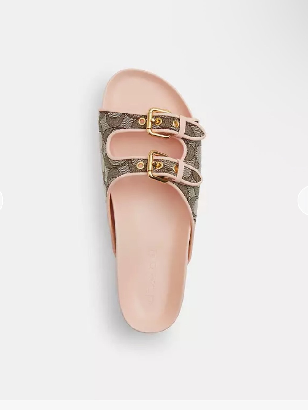 Coach Two-Band Buckle Slide in Oak and Candy Pink Size 9